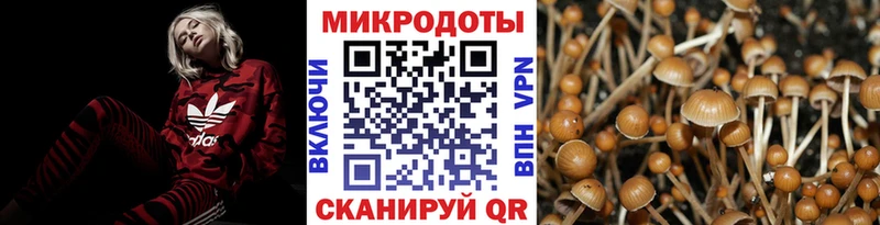 Галлюциногенные грибы GOLDEN TEACHER купить наркоту Новочеркасск